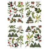 Collection of Christmas-themed illustrations including trees, berries, and birds on a white background.