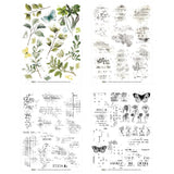 Sheet of decoupage paper with botanical illustrations and text on a white background
