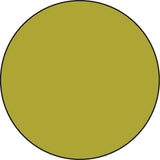 Solid green circle on a white background