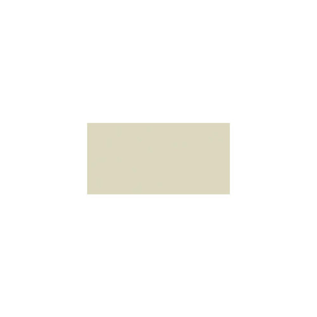 Americana Acrylic Paint 2oz - Bleached Sand - Opaque
